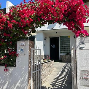 Bing Garden Guesthouse
